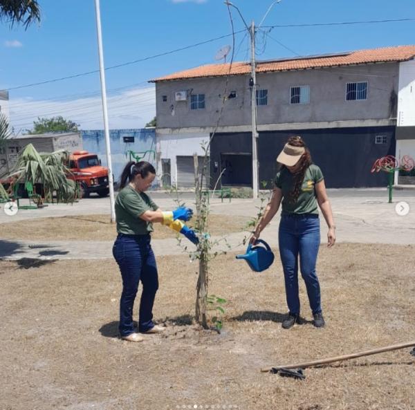 Prefeitura de Floriano reforça arborização urbana com ações do Programa Floriano Verde.(Imagem:Reprodução/Instagram)