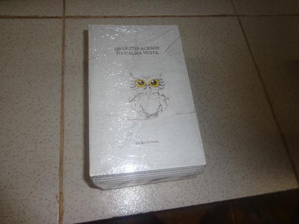 Escritora florianense lançou livro na Academia de Letras e Belas Artes de Floriano.(Imagem:FlorianoNews)
