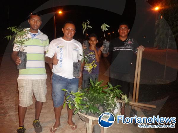 Moradores realizaram plantio de &aacute;rvores no Conjunto Filadelfo Freire de Castro.(Imagem:FlorianoNews)