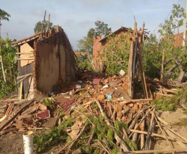 Árvore cai sobre casa após forte chuva e família perde tudo.(Imagem:Divulgação)