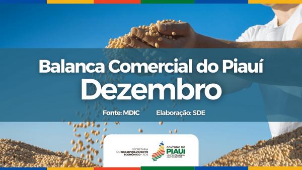 Exportações acumuladas do Piauí em 2024 alcançaram R$ 8,5 bilhões