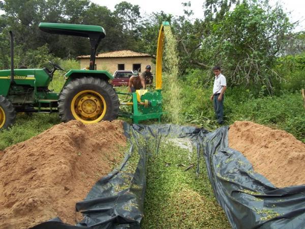 Fomento &agrave; produ&ccedil;&atilde;o rural.(Imagem:ASCOM)