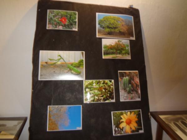Realizada exposi&ccedil;&atilde;o do Projeto Observadores da Natureza. (Imagem:FlorianoNews)
