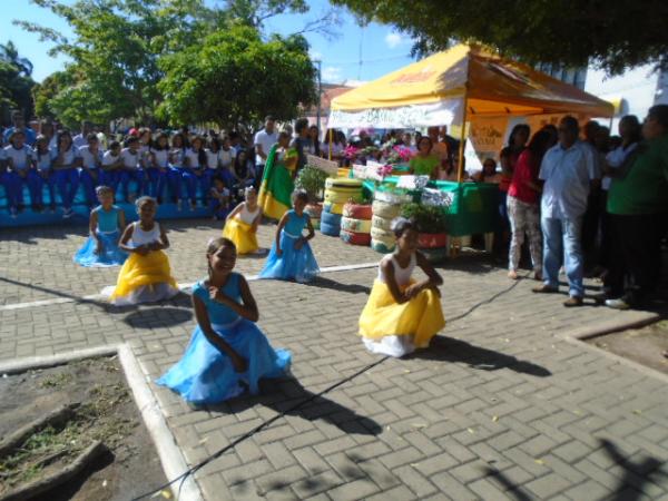 Semana do Meio Ambiente &eacute; aberta com atividades em Floriano.(Imagem:FlorianoNews)