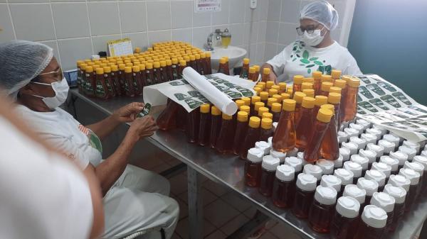 Governo realiza estudo de novos mercados e fará contatos com outros países para exportação do mel piauiense após tarifaço dos EUA(Imagem:Divulgação)