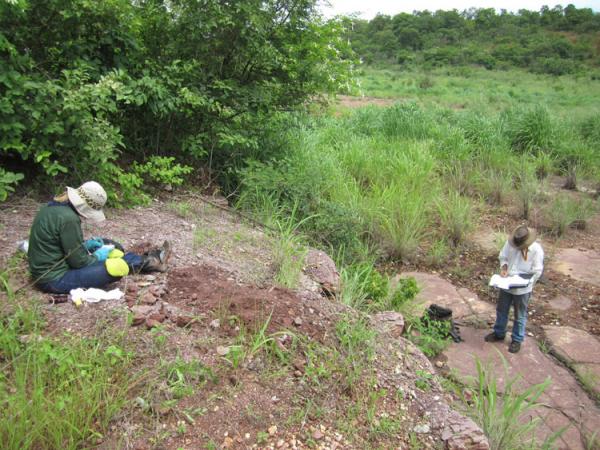 Pesquisadores encontram fósseis mais antigos que dinossauros no Piauí e Maranhão