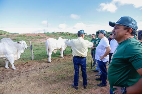 Piauí será reconhecido como área livre de febre aftosa sem vacinação na próxima semana.(Imagem:Tavynho Neto)