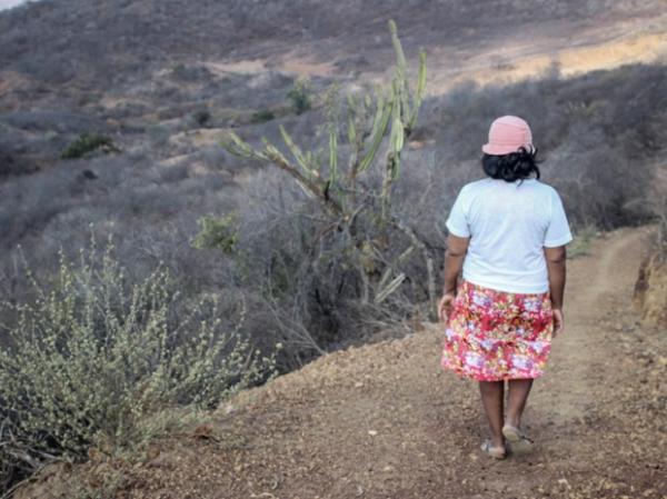 Sertanejos sofrem com estiagem e percorrem longos caminhos em busca de &aacute;gua.(Imagem:Patr&iacute;cia Andrade/G1)
