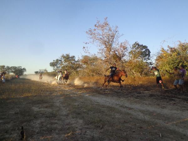 Festa dos vaqueiros &eacute; comemorada com corrida de cavalos localidade Manga.(Imagem:FlorianoNews)