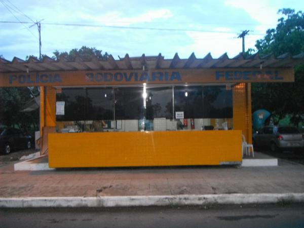 Animais na pista causam acidentes na rodovia BR-343