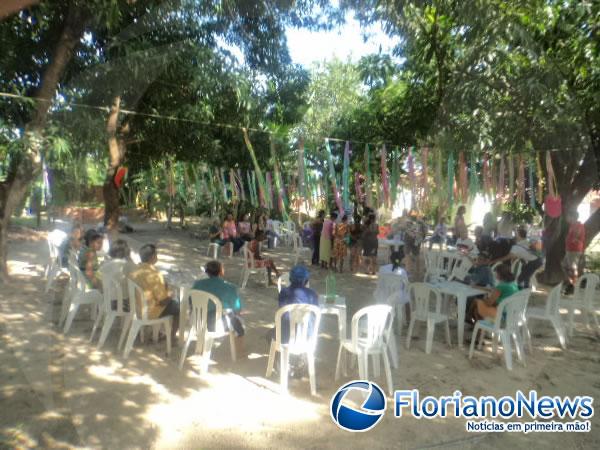 Universit&aacute;rios realizam festa carnavalesca para idosos da Vila Vicentina.(Imagem:FlorianoNews)