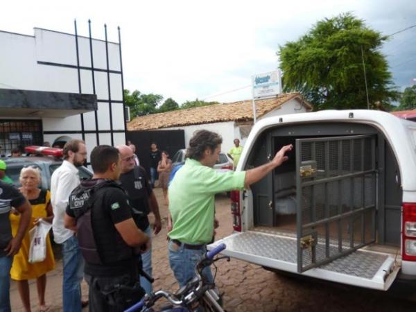 Ex-prefeito é preso dentro de Fórum após interrogatório.(Imagem:Cidadeverde.com)