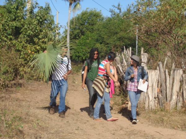 Acad&ecirc;micos estudam rela&ccedil;&atilde;o entre plantas e moradores de localidade rural.(Imagem:FlorianoNews)