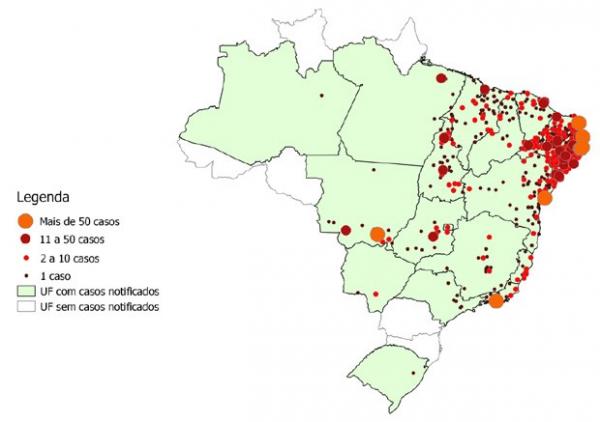Microcefalia avança, mas número no Piauí ainda é o menor do Nordeste