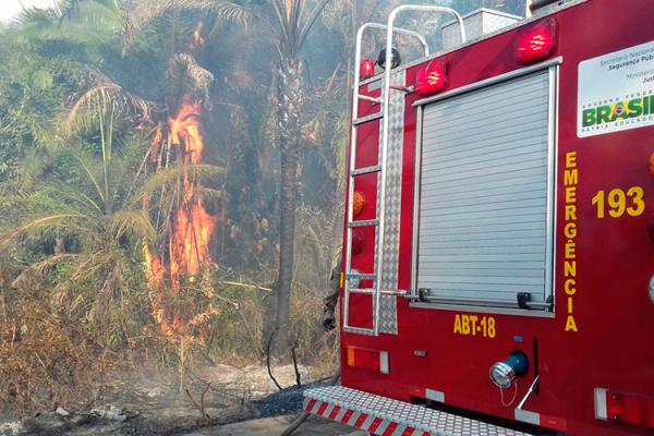 Bombeiros atendem 30 ocorrências de incêndio diariamente em Teresina