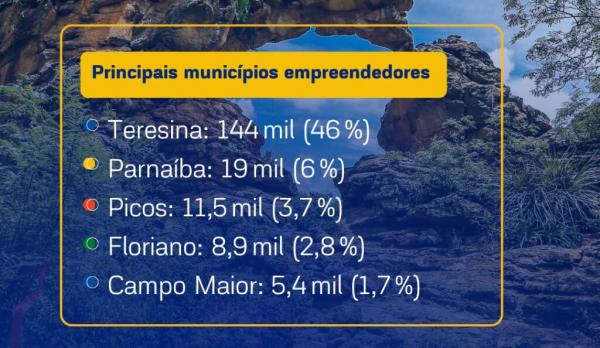 Piauí tem mais de 300 mil empresas ativas, com predominância do comércio e serviços(Imagem:Divulgação)