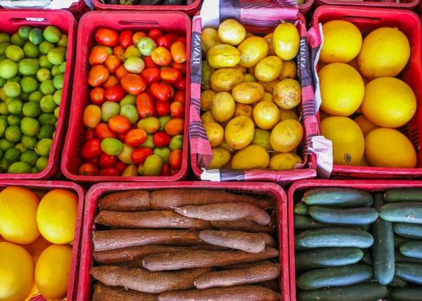 Sesapi realiza I Fórum de Equidade em Saúde e Segurança Alimentar e Nutricional para a Macrorregião