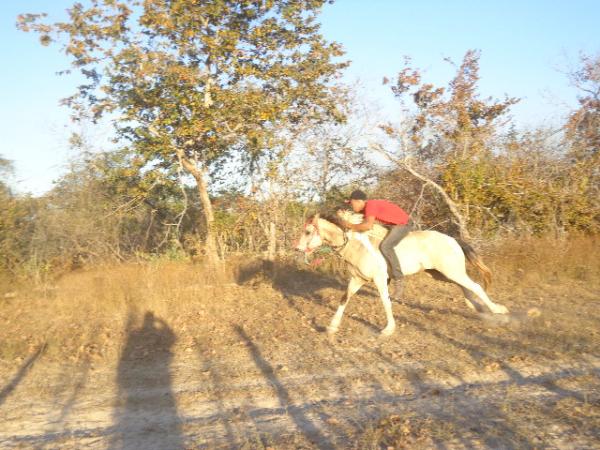 Festa dos vaqueiros &eacute; comemorada com corrida de cavalos localidade Manga.(Imagem:FlorianoNews)
