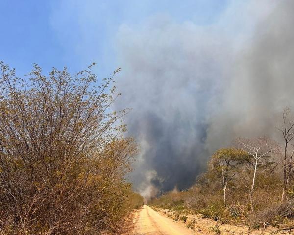 Semarh aponta diminuição de 47% dos incêndios florestais no mês de setembro em comparação a 2023