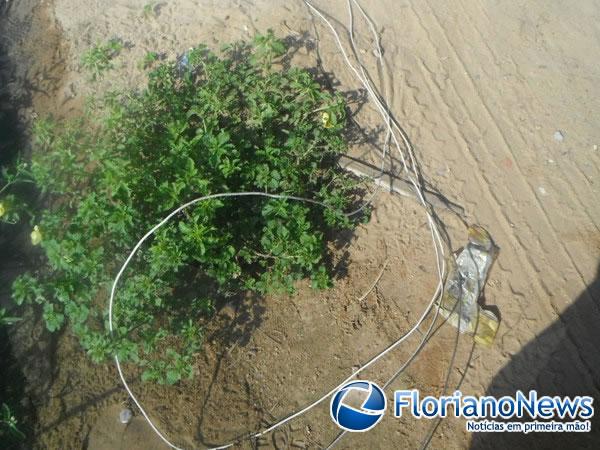 Caminh&atilde;o bate em fia&ccedil;&atilde;o el&eacute;trica e derruba postes em Floriano.(Imagem:FlorianoNews)