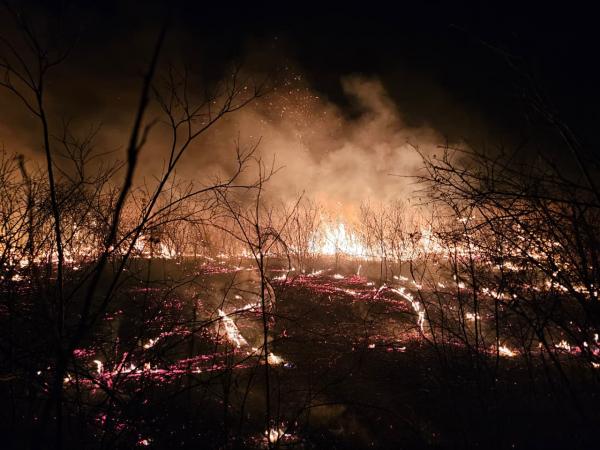 Brigadistas controlam incêndio de grandes proporções em Pimenteiras após quatro dias de combate(Imagem:Ascom Semarh)