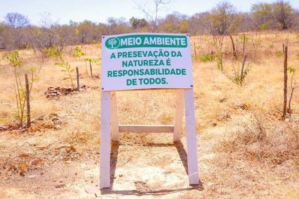 No Dia do Cerrado, Piau&iacute; mostra que d&aacute; para crescer sem destruir(Imagem:Divulga&ccedil;&atilde;o)