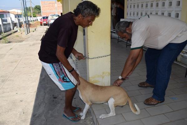 Floriano realiza campanha de vacina&ccedil;&atilde;o antirr&aacute;bica(Imagem: Waldemir Miranda)
