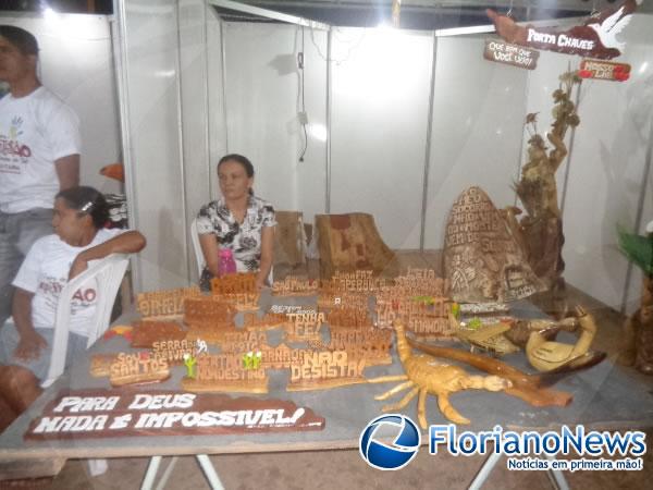 Feira do Artes&atilde;o(Imagem:FlorianoNews)