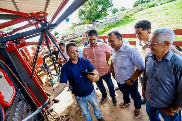 Piau&iacute; Mais Gen&eacute;tica chega a 20 mil insemina&ccedil;&otilde;es no rebanho piauiense(Imagem:Tavynho Neto)
