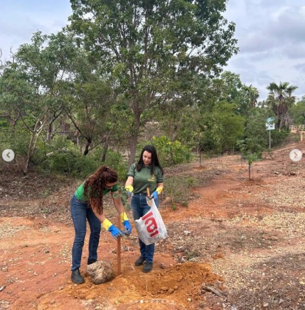 Secretaria de Meio Ambiente intensifica ações de limpeza e preservação em Floriano(Imagem:Reprodução/Instagram)