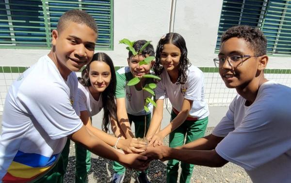 Programa já distribuiu mais de 2,5 mil mudas em ações de educação ambiental nas escolas do Piauí(Imagem:Divulgação)