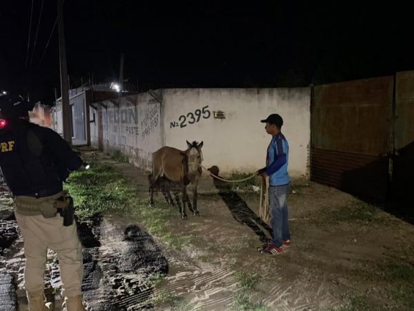 Saúde e PRF realizam ação de segurança nas rodovias de Floriano(Imagem:Secom)