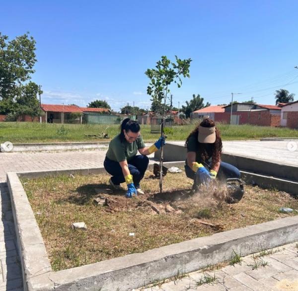 Prefeitura de Floriano reforça arborização urbana com ações do Programa Floriano Verde.(Imagem:Reprodução/Instagram)