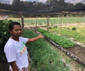 Número de mulheres na produção agrícola cresceu 66% no Piauí, diz IBGE