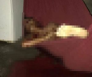 Homem é morto a tiros enquanto dormia em rede dentro de casa