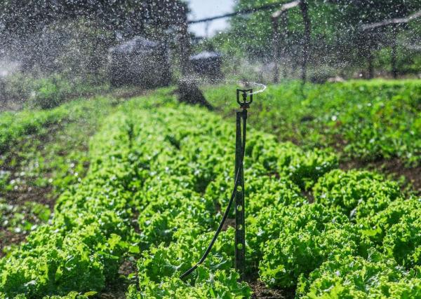  Sistemas de irriga&ccedil;&atilde;o distribu&iacute;dos pela SAF beneficiam mais de 2,6 mil fam&iacute;lias de agricultores.(Imagem:Divulga&ccedil;&atilde;o)