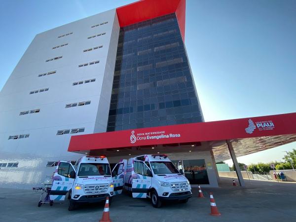 Sesapi realiza Encontro Estadual de Tutores do Método Canguru com foco em cuidados neonatais
