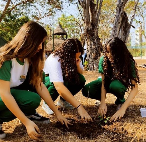 A atividade também incluiu uma palestra do programa Eco Educação e Proverde nas Escolas, além de visita guiada à Floresta Fóssil.(Imagem:Divulgação)