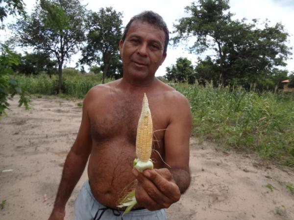 Falta prolongada de chuva compromete a agricultura