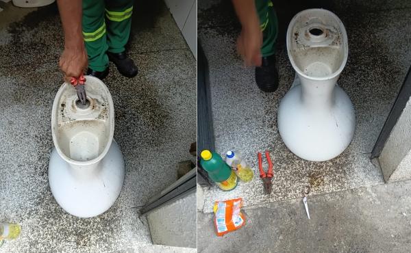  Vandalismo causa entupimentos constantes nos banheiros do Mercado P&uacute;blico Central de Floriano.(Imagem:Divulga&ccedil;&atilde;o)