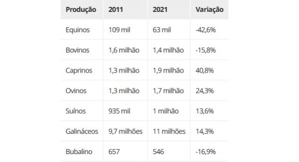 Variação na produção de animais no Piauí entre 2011 e 2021(Imagem: IBGE)