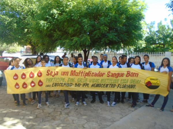 Hemocentro de Floriano celebra Dia Mundial do Doador Voluntário de Sangue
